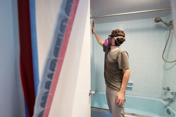 Best Asbestos and Lead Testing During Mold Inspection  in San Gabriel, CA