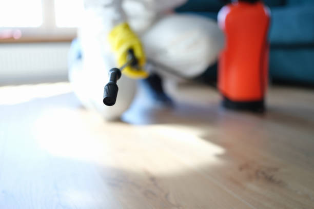 Forensic Mold Investigation in San Gabriel, CA