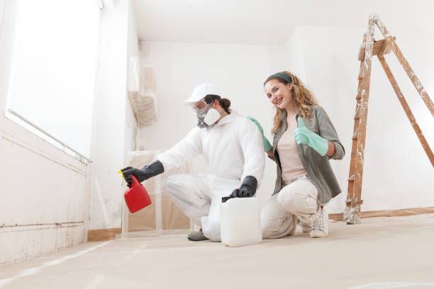 San Gabriel, CA Mold Removal Company